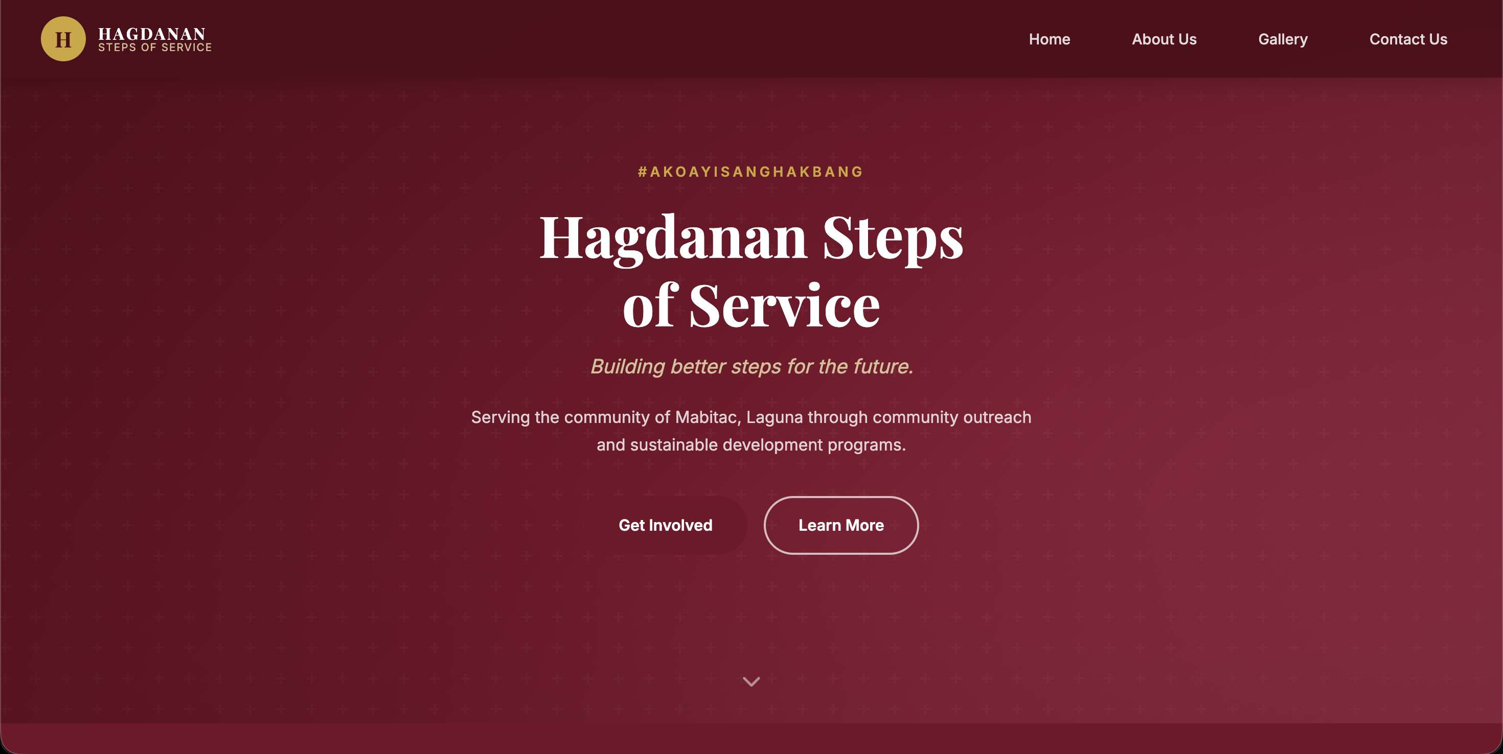 Hagdanan Steps of Service Website